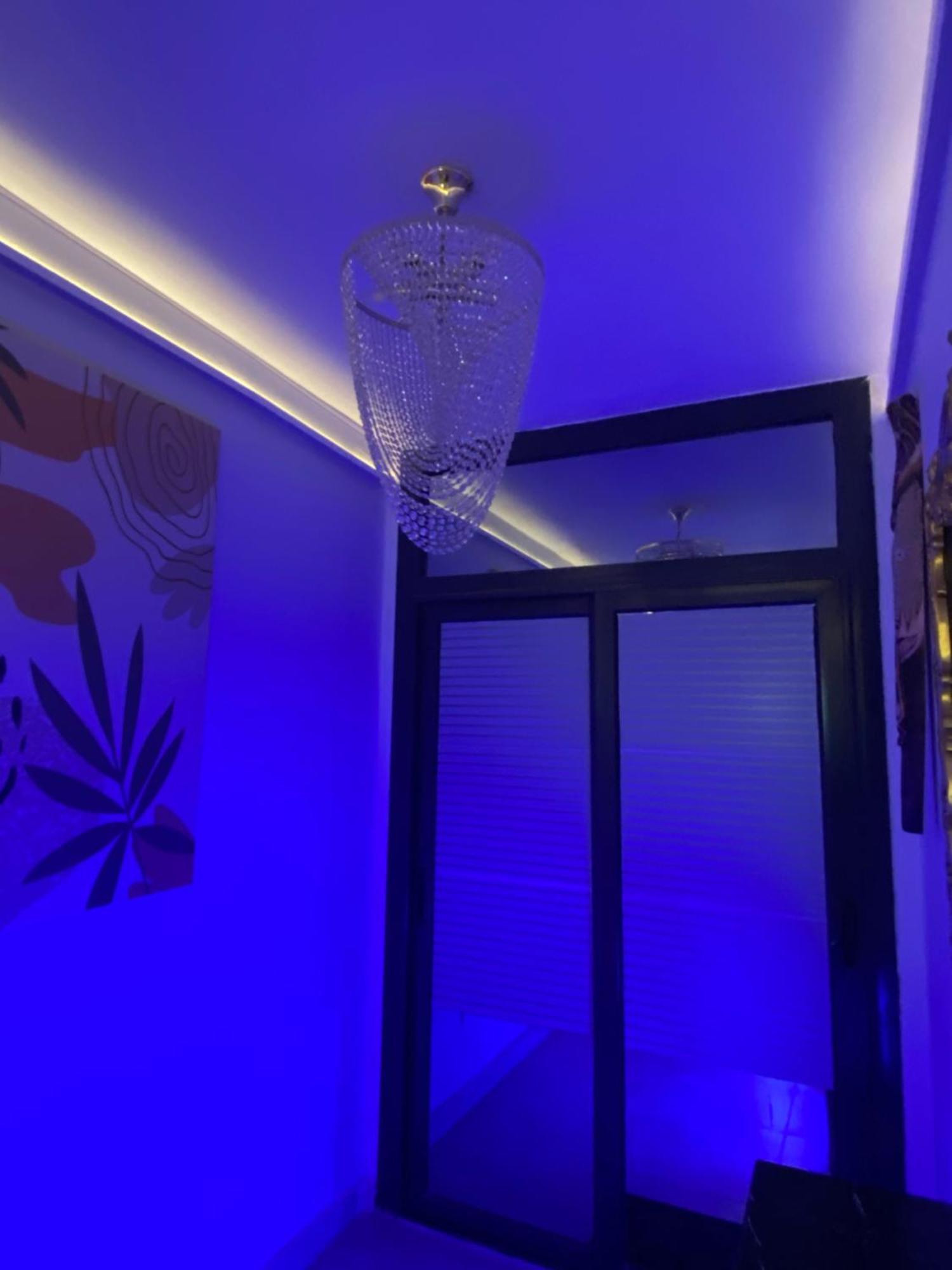 Apartment Vibes *